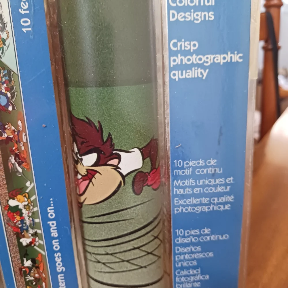 Vintage Warner Brothers Wall Border 10ft 2000 No Repeat Pattern